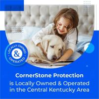 CornerStone Protection image 31